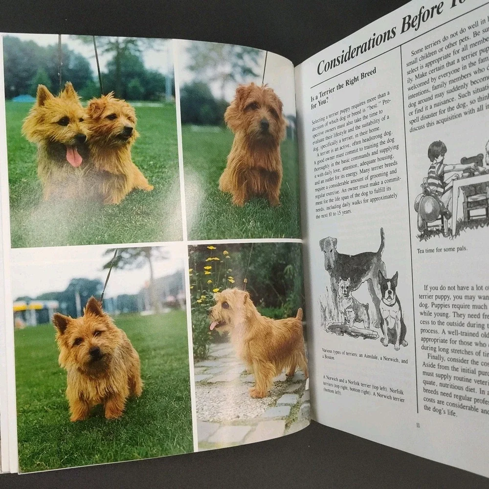N/A ✅🐶📕the new